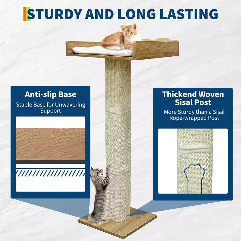Perchoir de fenêtre pour chat, griffoir pour chat - 100 cm avec poteau en sisal, réglable en hauteur, 2 étagères murales, coussin amovible, ventouses pour petits espaces
