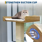 Perchoir de fenêtre pour chat, griffoir pour chat - 100 cm avec poteau en sisal, réglable en hauteur, 2 étagères murales, coussin amovible, ventouses pour petits espaces