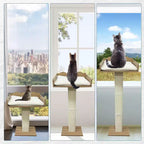Perchoir de fenêtre pour chat, griffoir pour chat - 100 cm avec poteau en sisal, réglable en hauteur, 2 étagères murales, coussin amovible, ventouses pour petits espaces