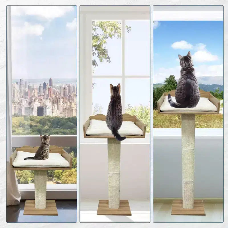 Perchoir de fenêtre pour chat, griffoir pour chat - 100 cm avec poteau en sisal, réglable en hauteur, 2 étagères murales, coussin amovible, ventouses pour petits espaces