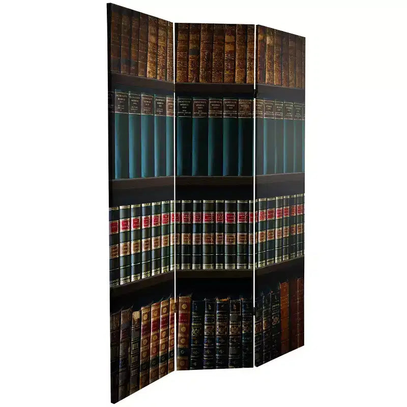 Paravent double face en toile, motif bibliothèque, 6 pouces, marron